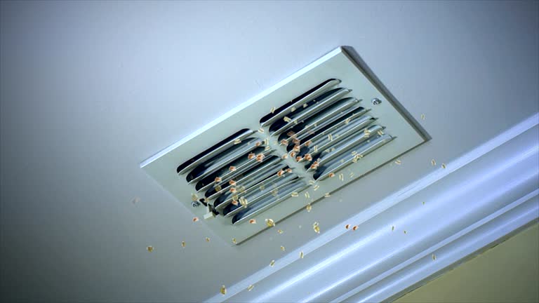 Best Duct Cleaning Specialists  in Balfour, NC